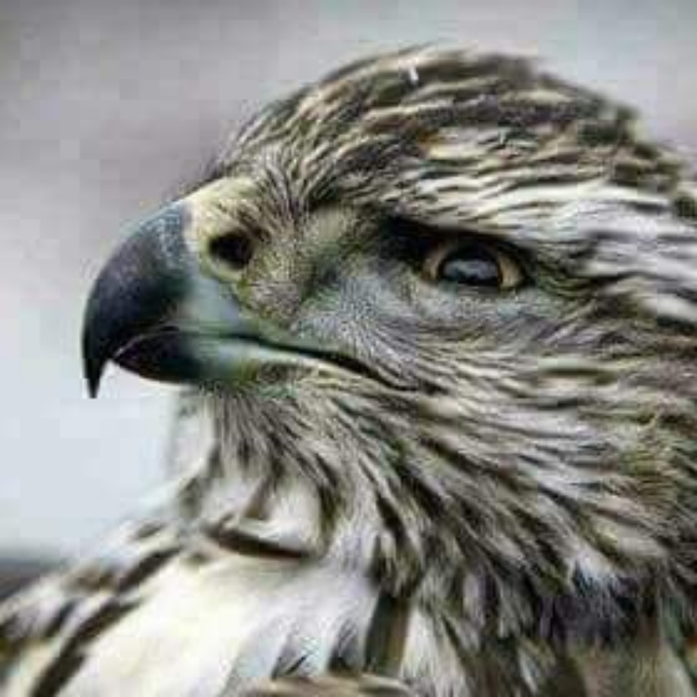 Meet your Posher, Derrick